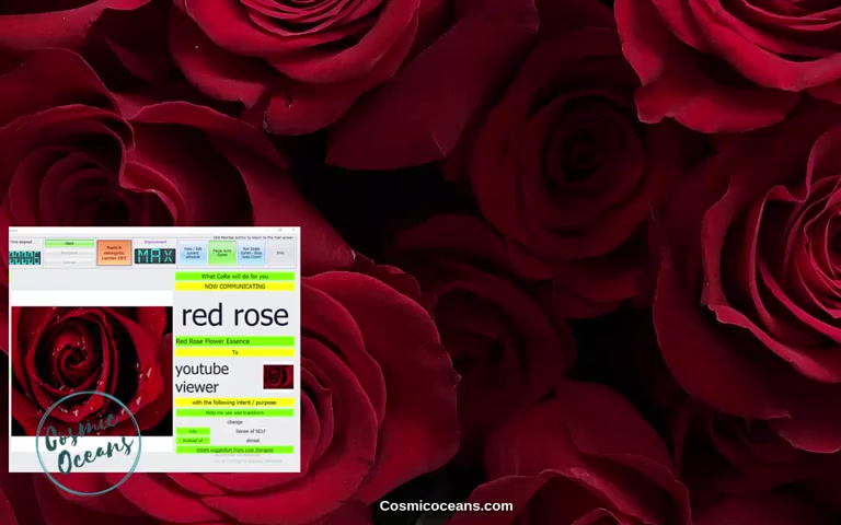 [图]红玫瑰花精华-振动频率疗愈-心轮 Red Rose Flower Essence - Vibrational Frequency Healing