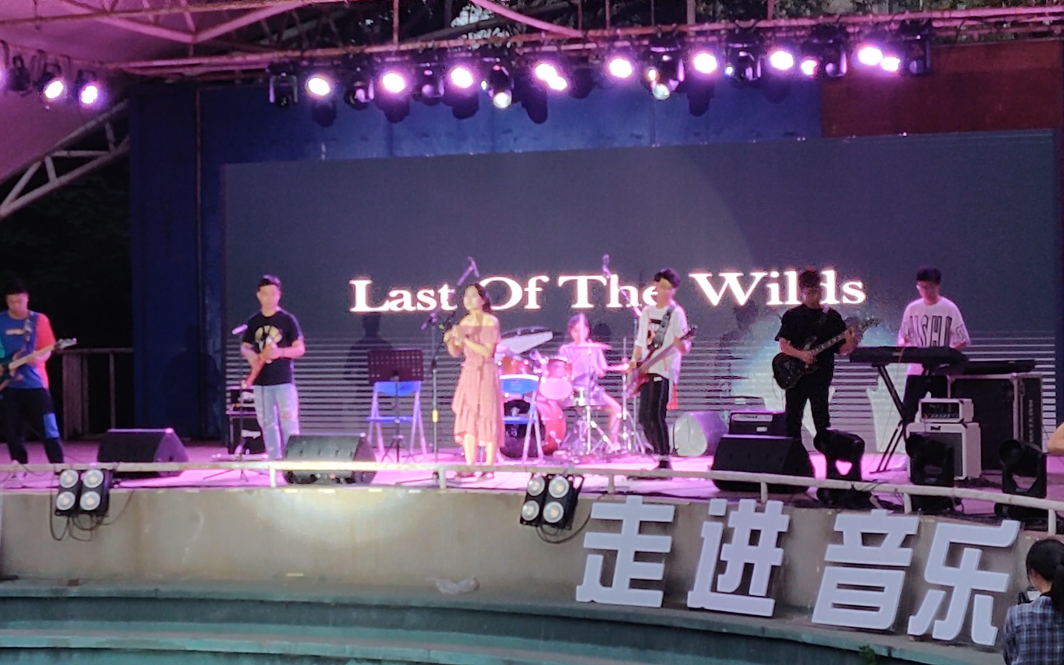 [图]【南京工业大学】翻奏《Last Of The Wilds》