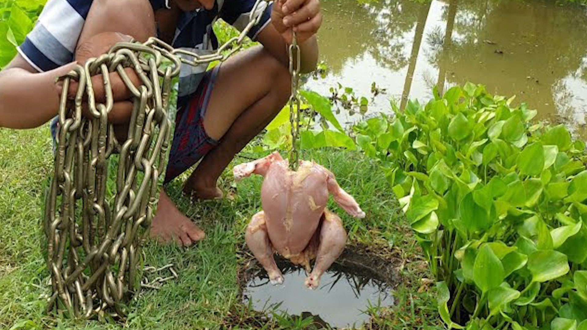 越南小伙用大肥鸡钓鱼,铁链一拉扯,一条"大货"上钩了!