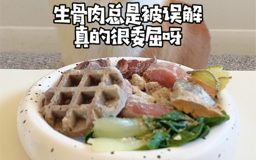 [图]生骨肉总是被误解真是个大冤种（摊手）