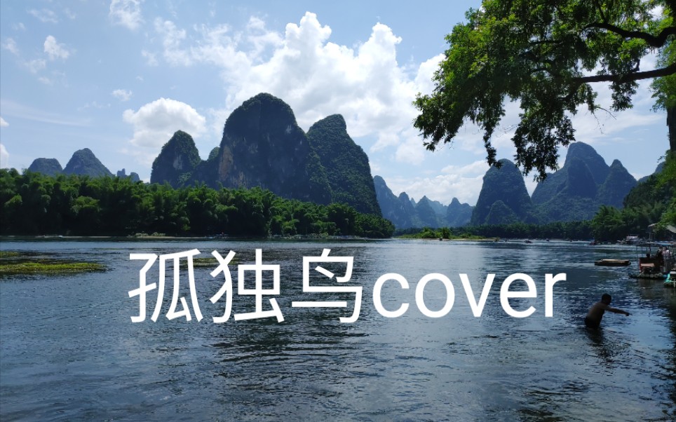 [图]孤独鸟cover