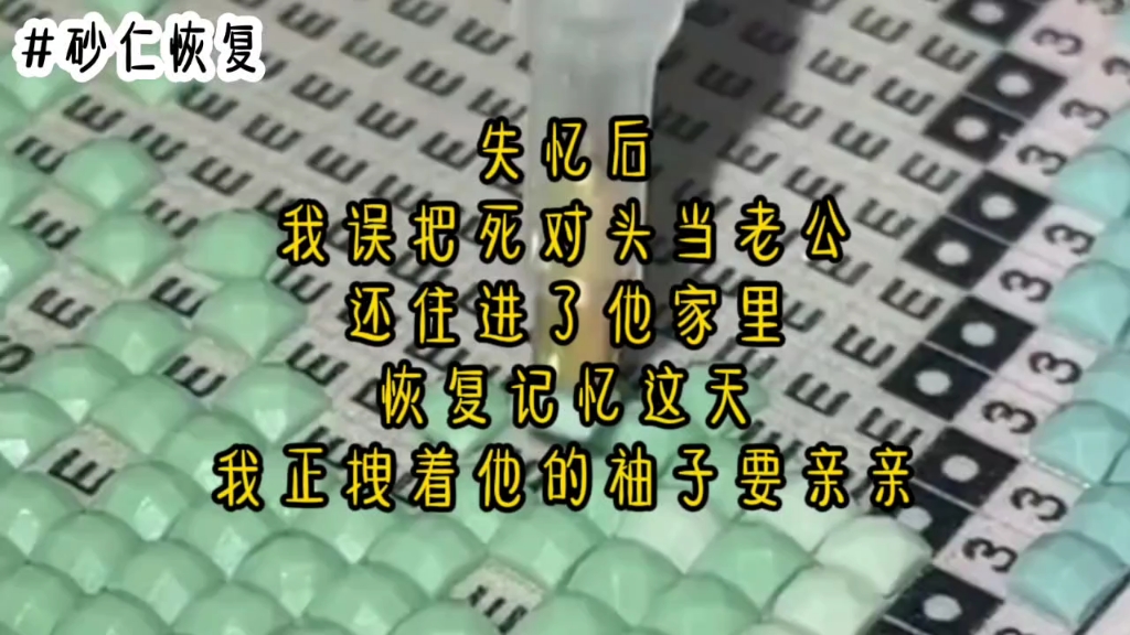 [图]《砂仁失忆》失忆后，我误把死对头当老公。还住进了他家里。恢复记忆这天，我正拽着他的袖子要亲亲