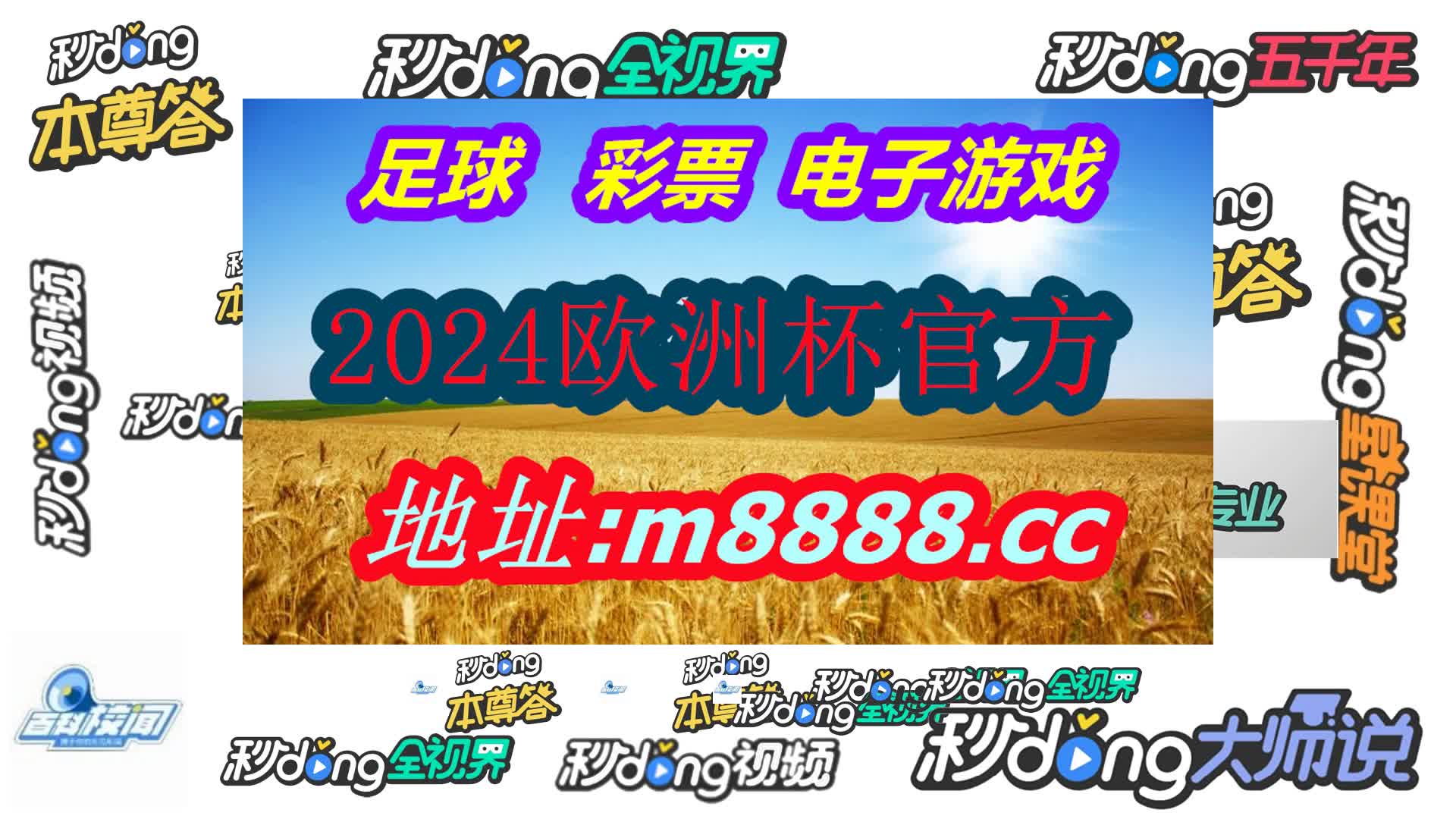 扑克网 站(哔哩哔哩)840期