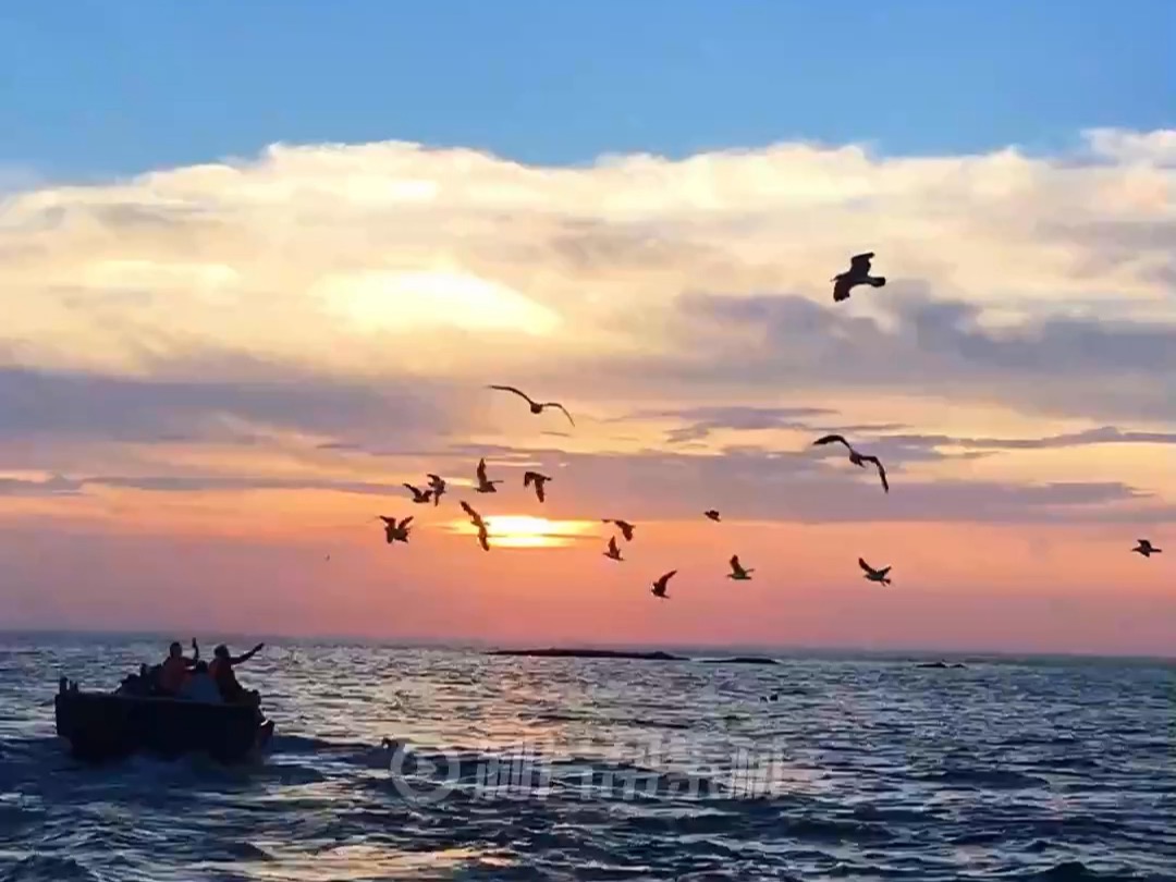 海上日落素材 高清治愈系风景素材 免费领取个人会员,点赞收藏安排~哔哩哔哩bilibili