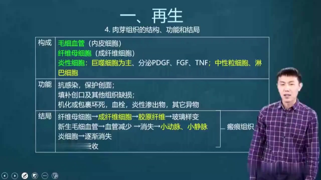 徐琦病理学全集分享