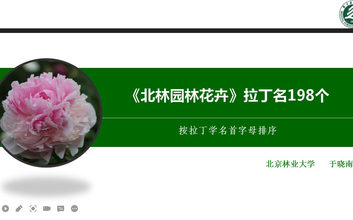 北京林业大学 于晓南 园林花卉拉丁学名198个哔哩哔哩bilibili