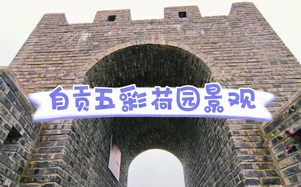 四川省自贡市五彩荷园景观