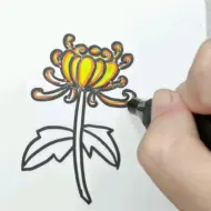 Tải video: 简笔画植物系列之菊花