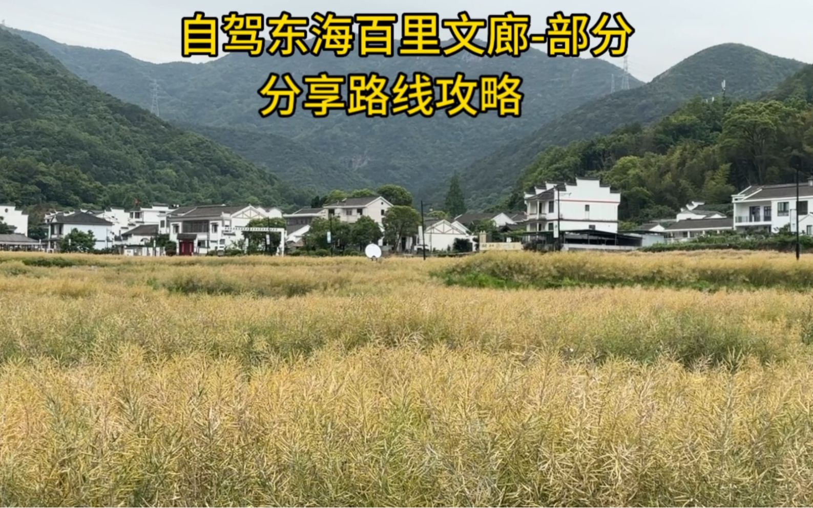 自驾舟山的小众自驾公路:东海百里文廊,从南洞艺谷到小沙再到青林玉镜哔哩哔哩bilibili