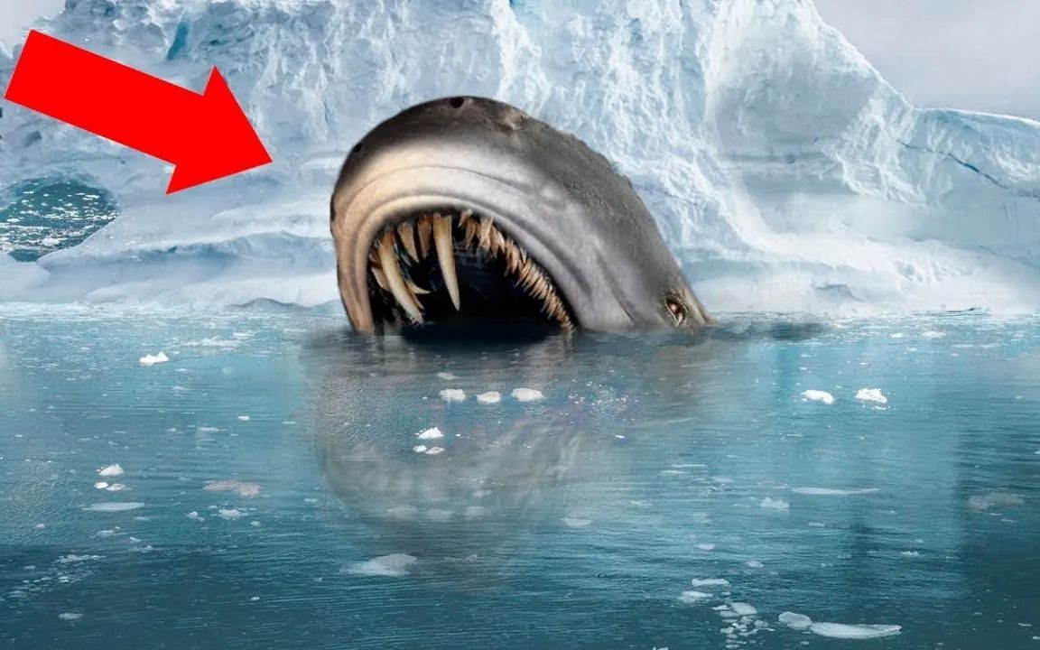 南极洲发现的 10 种最可怕的冰冻生物