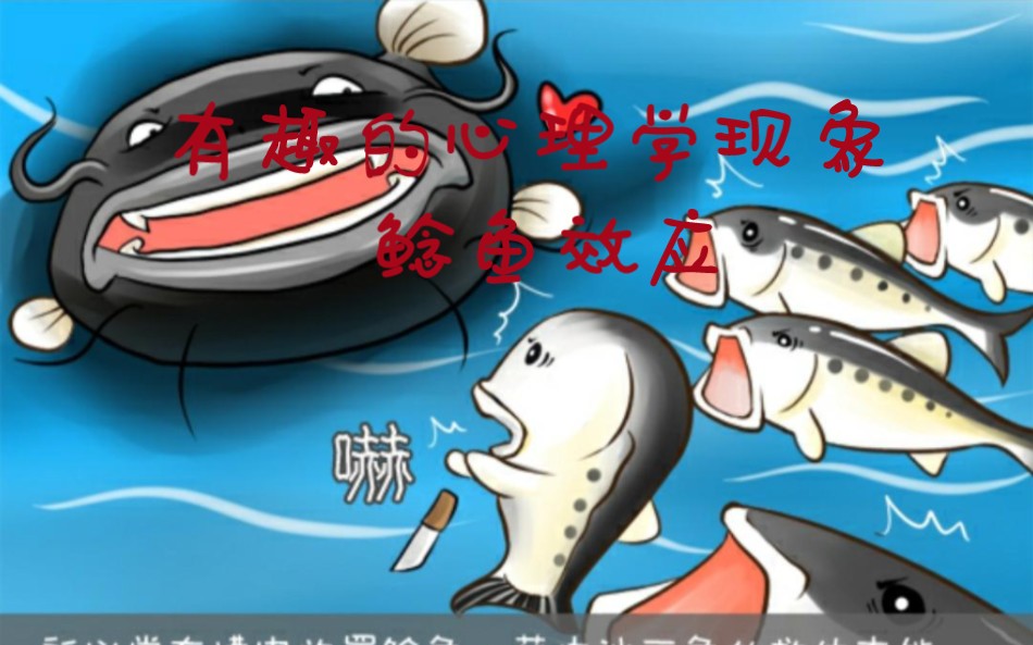 有趣的心理学现象_鲶鱼效应
