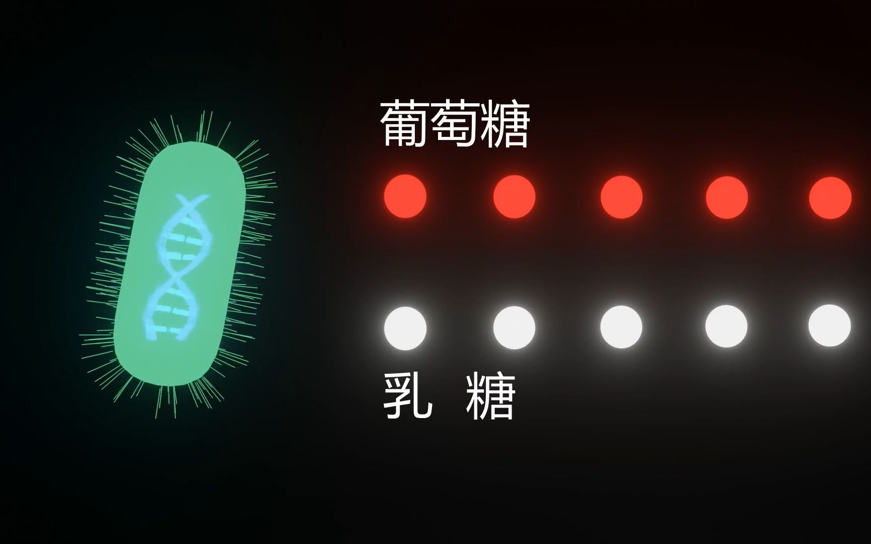 【生物】基因选择性表达到底是什么 葡萄糖与乳糖不可得兼哔哩哔哩bilibili