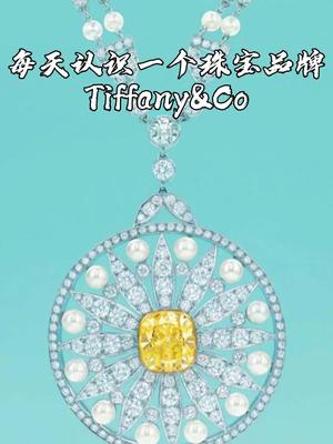 每天认识一个珠宝品牌Tiffany Co哔哩哔哩bilibili