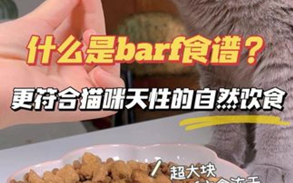 什么是barf食谱?更符合猫咪天性的自然饮食!哔哩哔哩bilibili