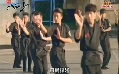 蒋介石保镖刘云樵系台湾八极拳哔哩哔哩bilibili