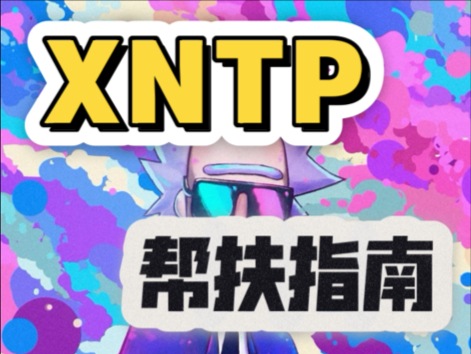 XNTP帮扶指南(英文版)哔哩哔哩bilibili