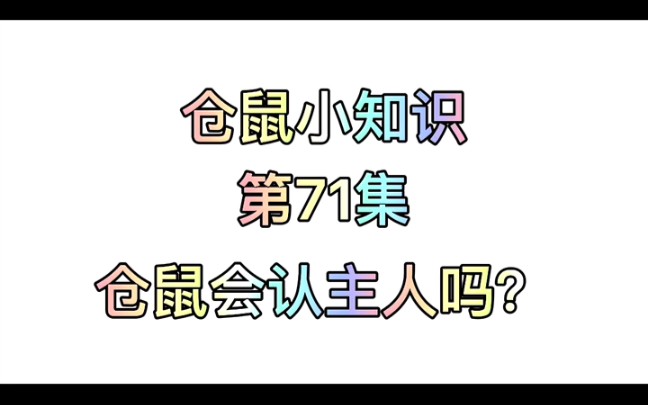 仓鼠小知识第71集:仓鼠会认主人吗?哔哩哔哩bilibili