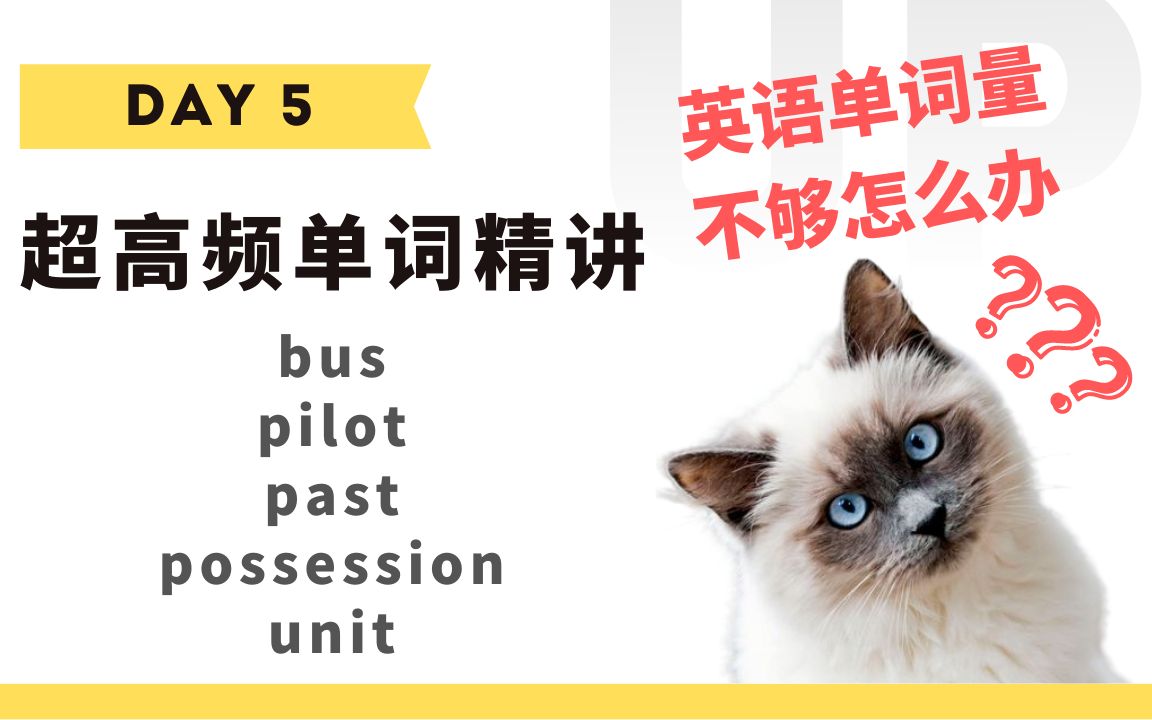 【学英语】十分钟掌握必背单词Day 5:bus, pilot, past, possession, unit哔哩哔哩bilibili