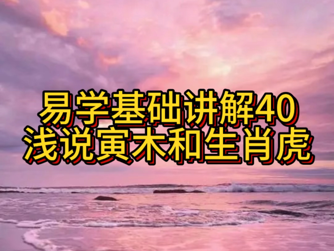 易学基础讲解40浅说寅木和生肖虎哔哩哔哩bilibili