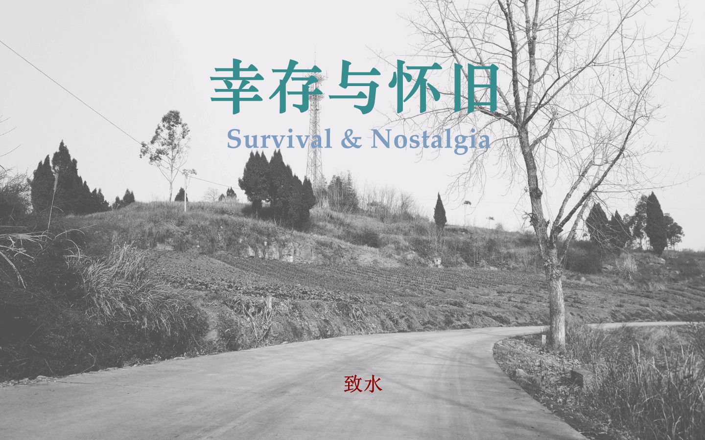 [图]幸存与怀旧 | Survival & Nostalgia