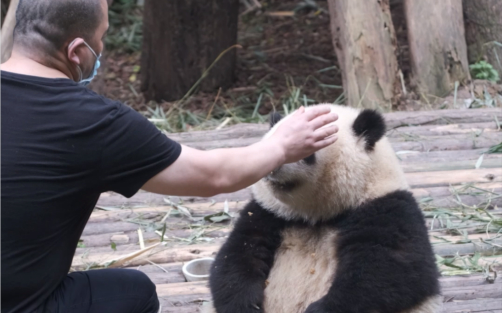 [图]谭爷爷有多宠花花