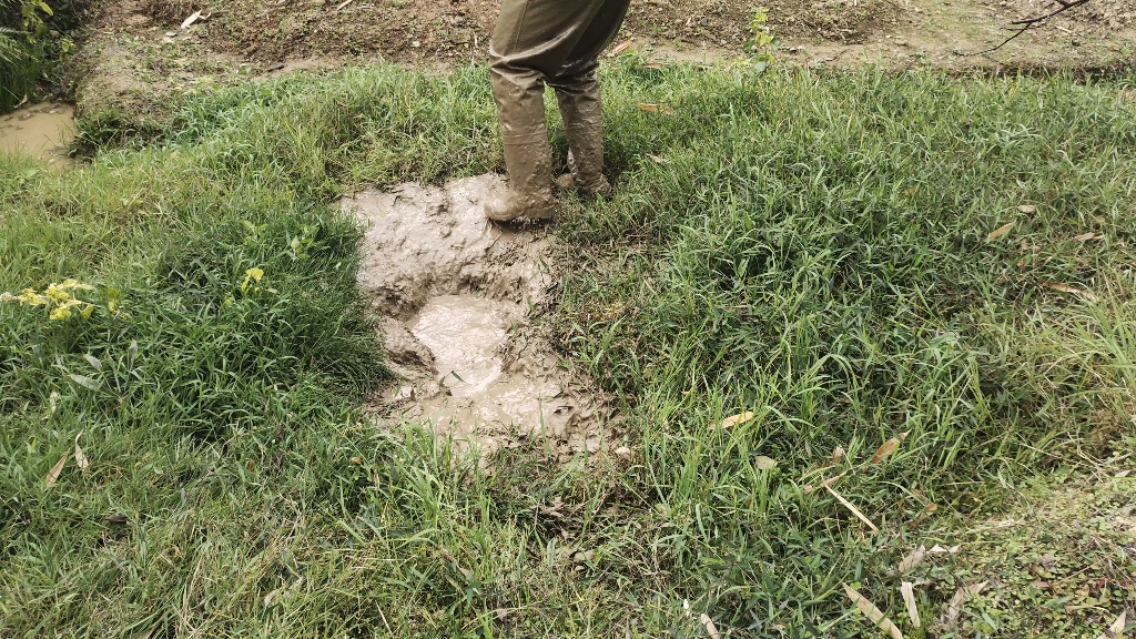 半身下水褲踩泥陷泥跳進去在泥裡打滾坐在泥裡因為上面網絡太卡,然後