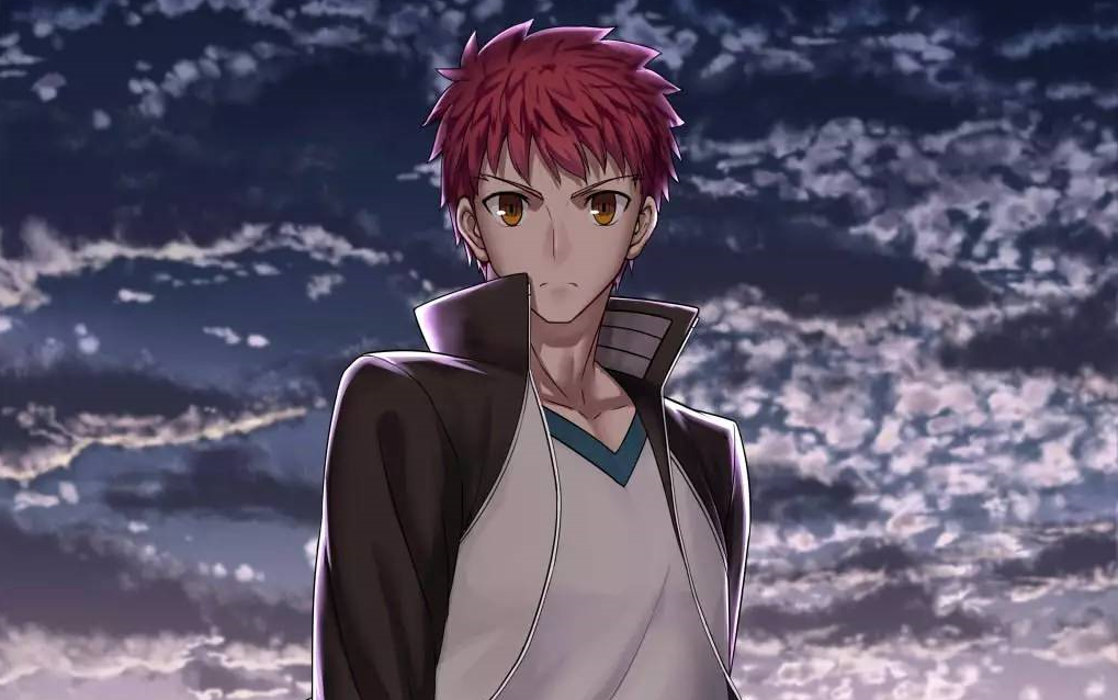 fateamv卫宫士郎要得到答案应该会是在很久之后了字幕语音