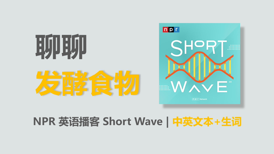 [NPR英语播客] 聊聊发酵食物|Short Wave哔哩哔哩bilibili