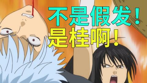 银魂 从零开始的银魂解说02 假发小太郎与偶像阿通 哔哩哔哩 银魂 从零开始的银魂解说02 假发小太郎与偶像阿通 哔哩哔哩