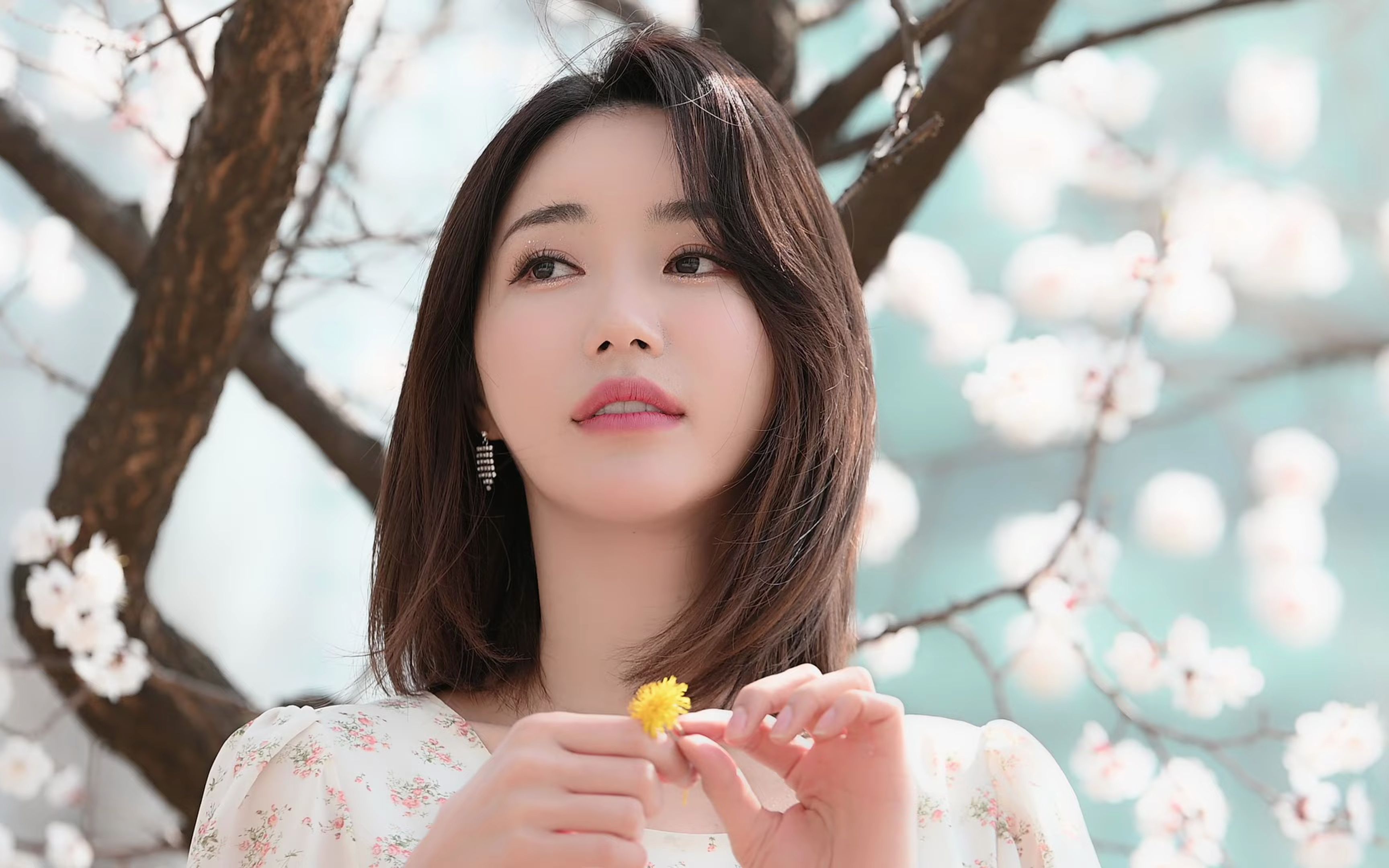 4k 230330 赛车模特 林率雅 在樱花下 直拍