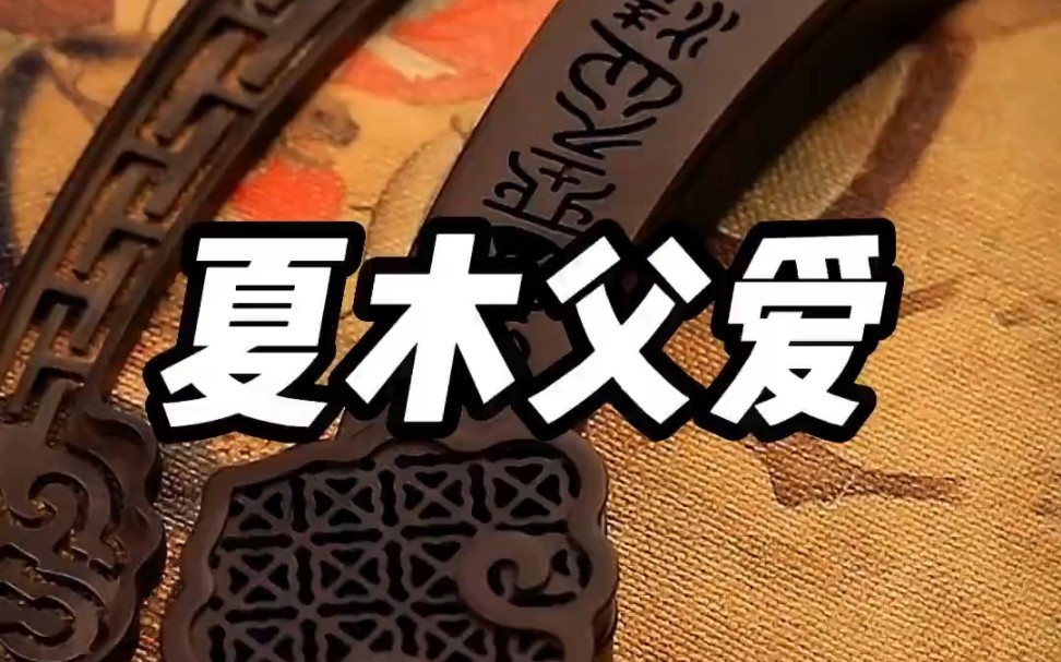 小说推文《夏木父爱》全家人都恨不得我去死但最讨厌我的爸爸知道后却疯了,我死的那晚他们正在国外,围坐着吃年夜饭哔哩哔哩bilibili