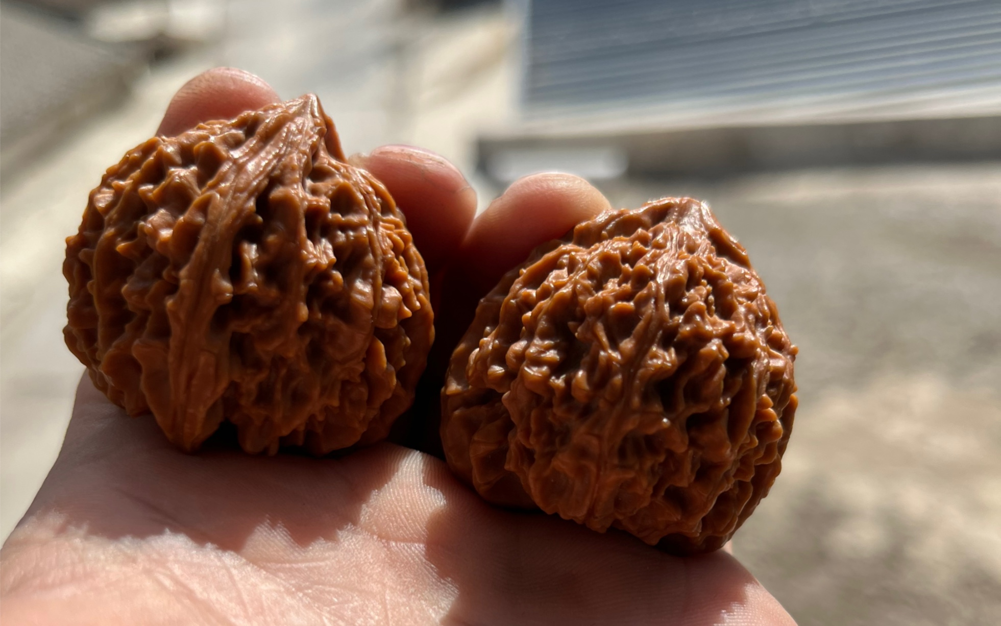 上手半个月的玉华宫狮子头,粗打底的大沽石