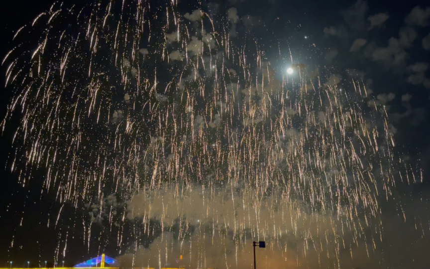 东风夜放花千树 更吹落星如雨