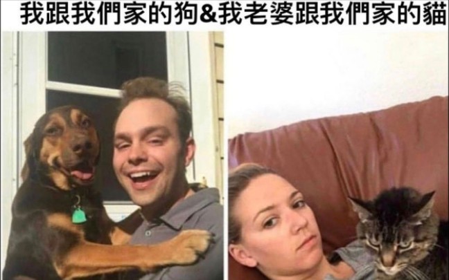 我和我家的狗跟我老婆和我家的猫( ･᷄ὢ･᷅) 网上那些令人笑喷的沙雕图(붋š ᗨ 뚋𖩥“”哩哔哩bilibili