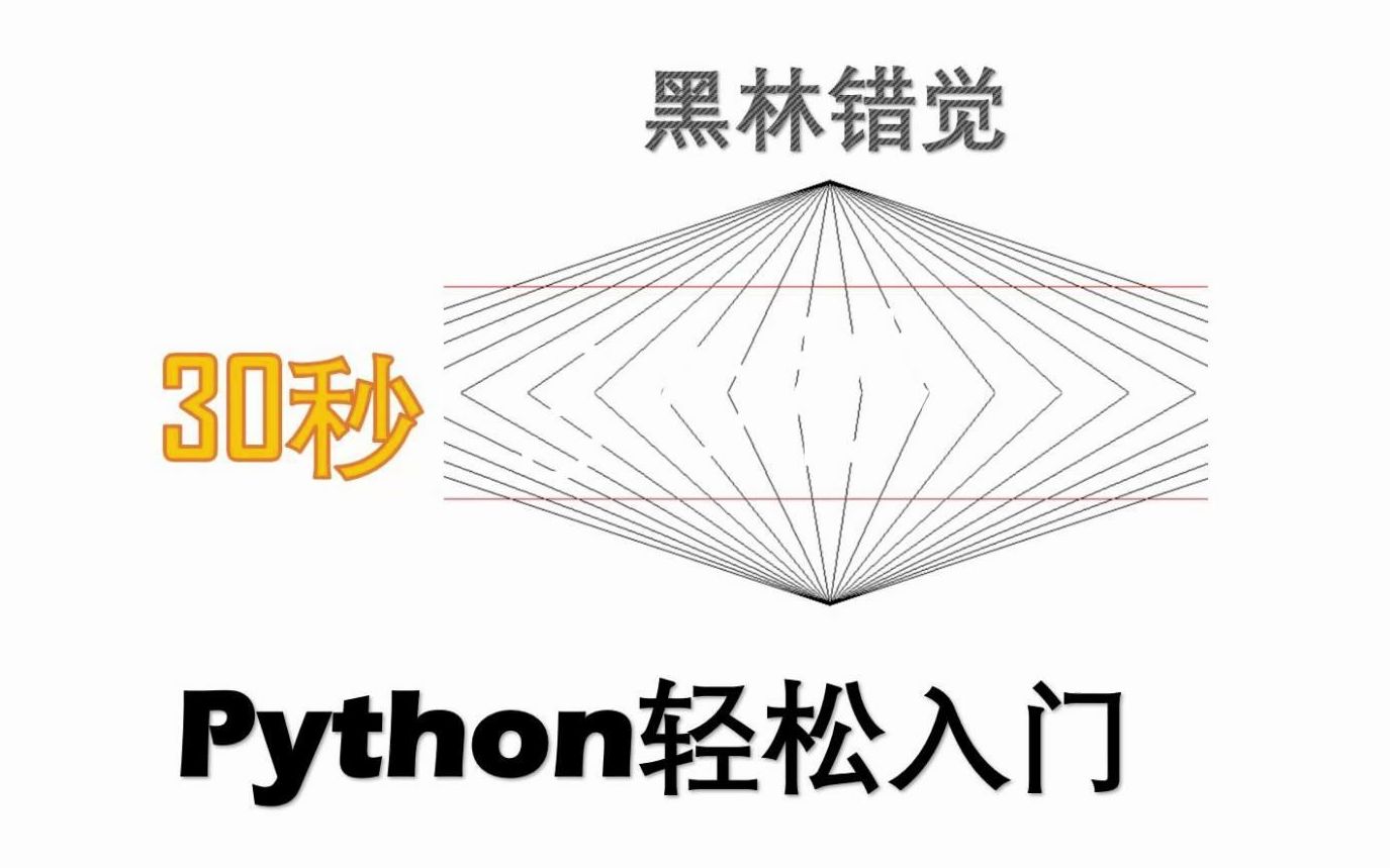 30秒Python轻松入门 24绘制黑林错觉 每天30秒 轻松学编程哔哩哔哩bilibili