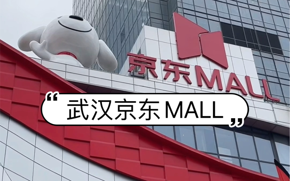 [图]武汉京东MALL初体验 说大实话的来了！