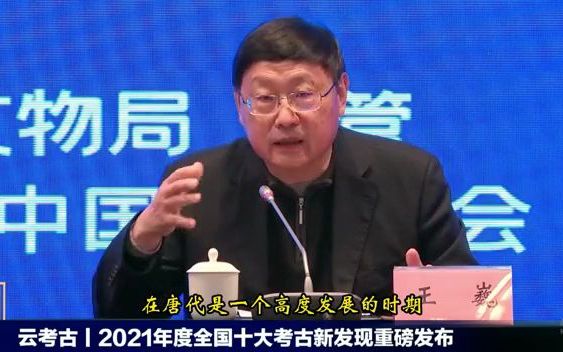 【经典回顾】中国考古学会理事长王巍,谈凉州吐谷浑大可汗陵的重要性哔哩哔哩bilibili