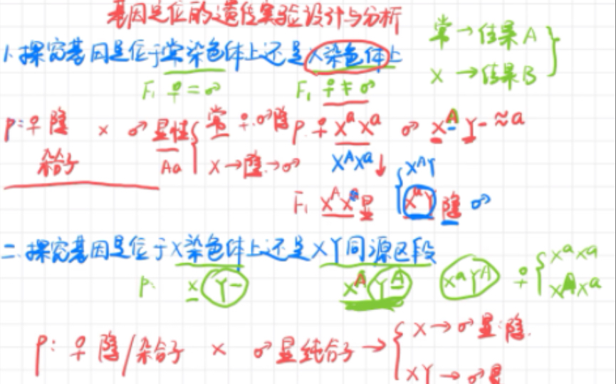 高中生物必修二|伴性遗传实验设计重难点~基因定位的实验设计与分析哔哩哔哩bilibili