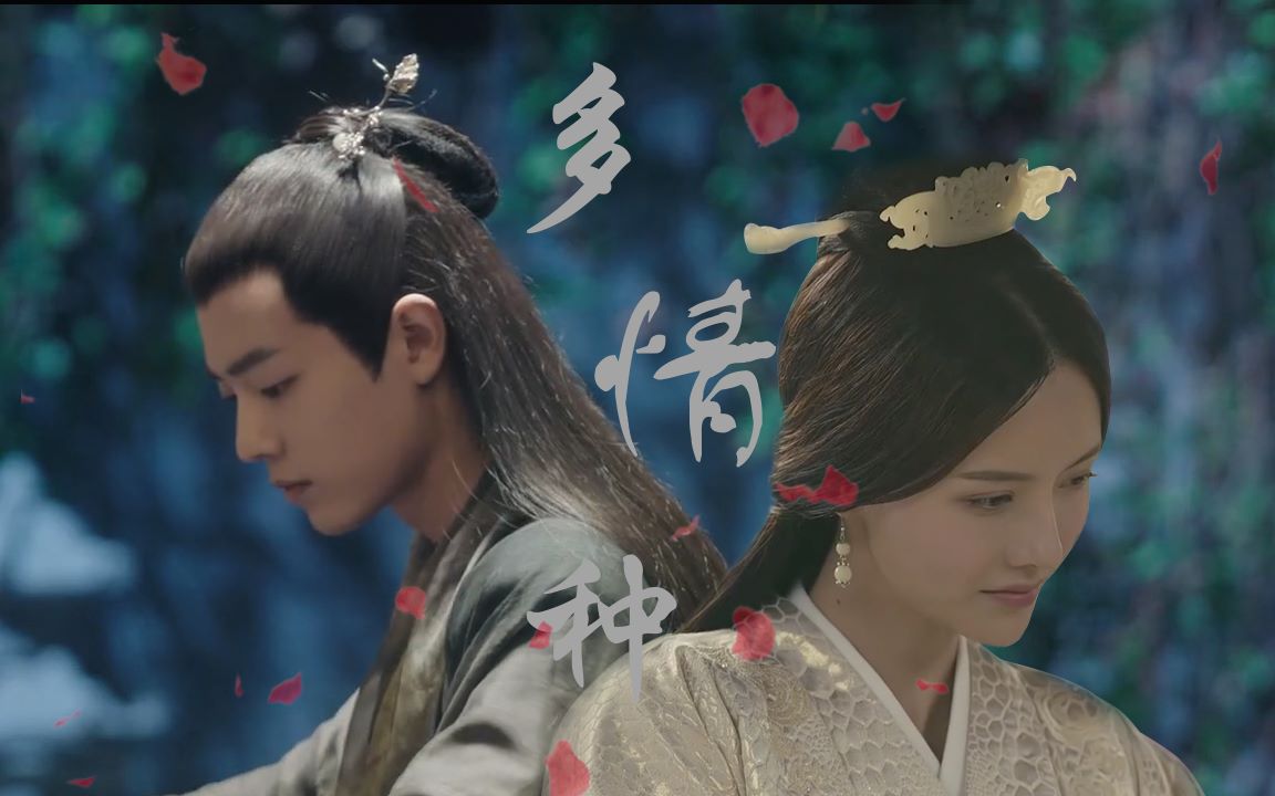 【北堂墨染x甄宓】【肖战x张芷溪】| 多情种