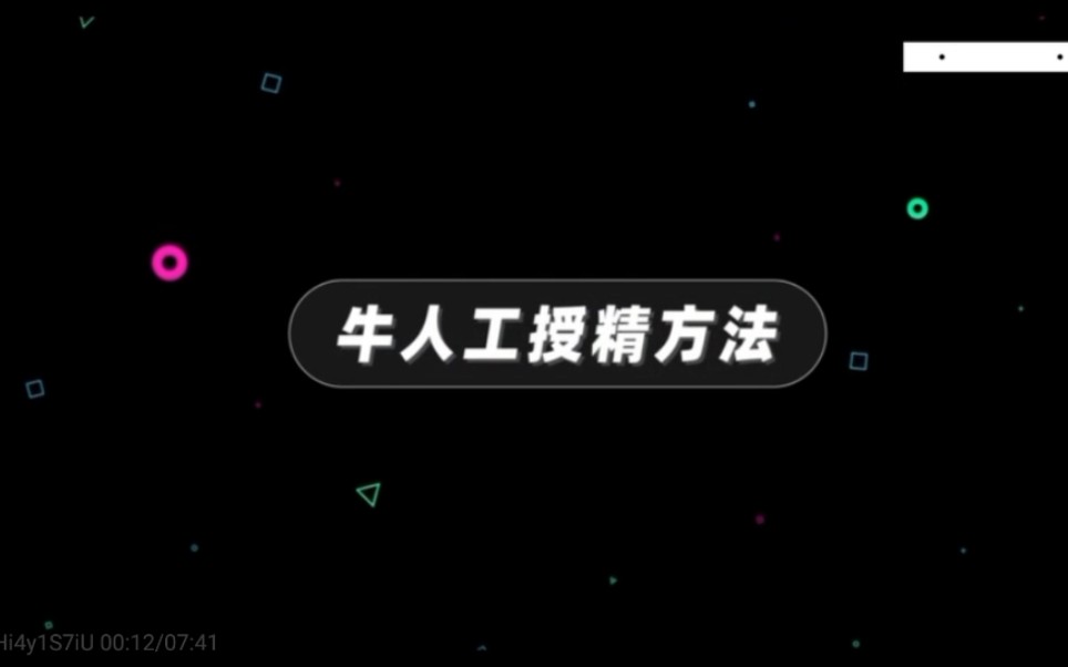 第二讲 牛饲养技术 2.1牛现代繁殖新技术 牛人工授精方法哔哩哔哩bilibili