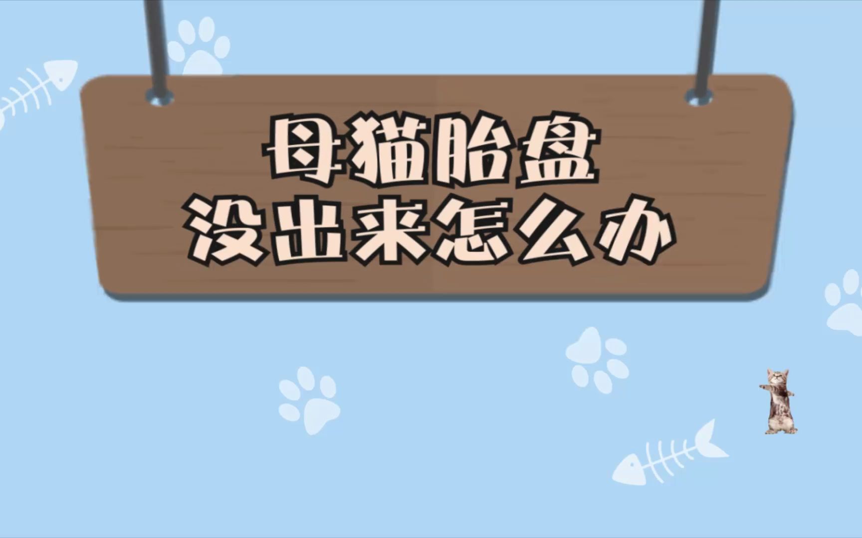 母猫胎盘没出来怎么办哔哩哔哩bilibili