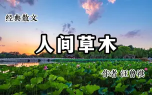 Download Video: 经典散文 《人间草木》 作者 汪曾祺