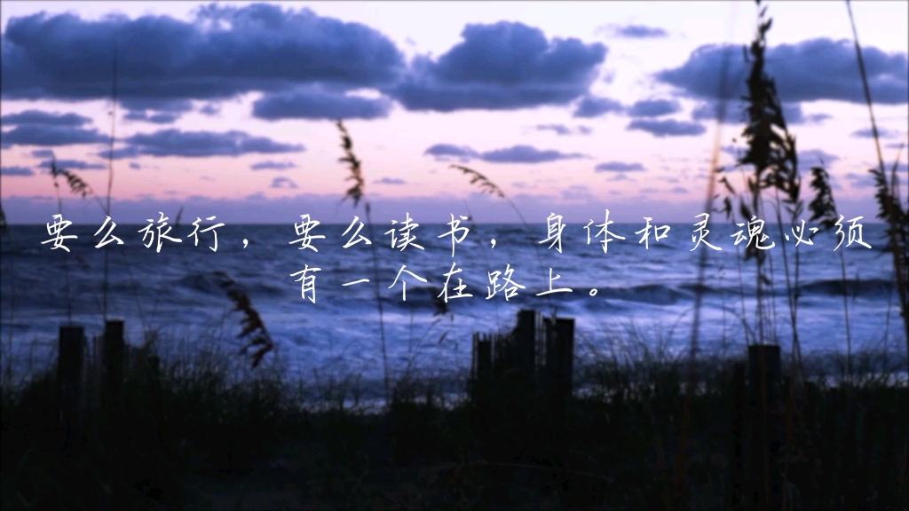 要么旅行,要么读书,身体和灵魂必须有一个在路上.