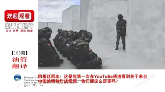 Descargar video: 外网网友问：中国的特种作战都这么厉害吗？