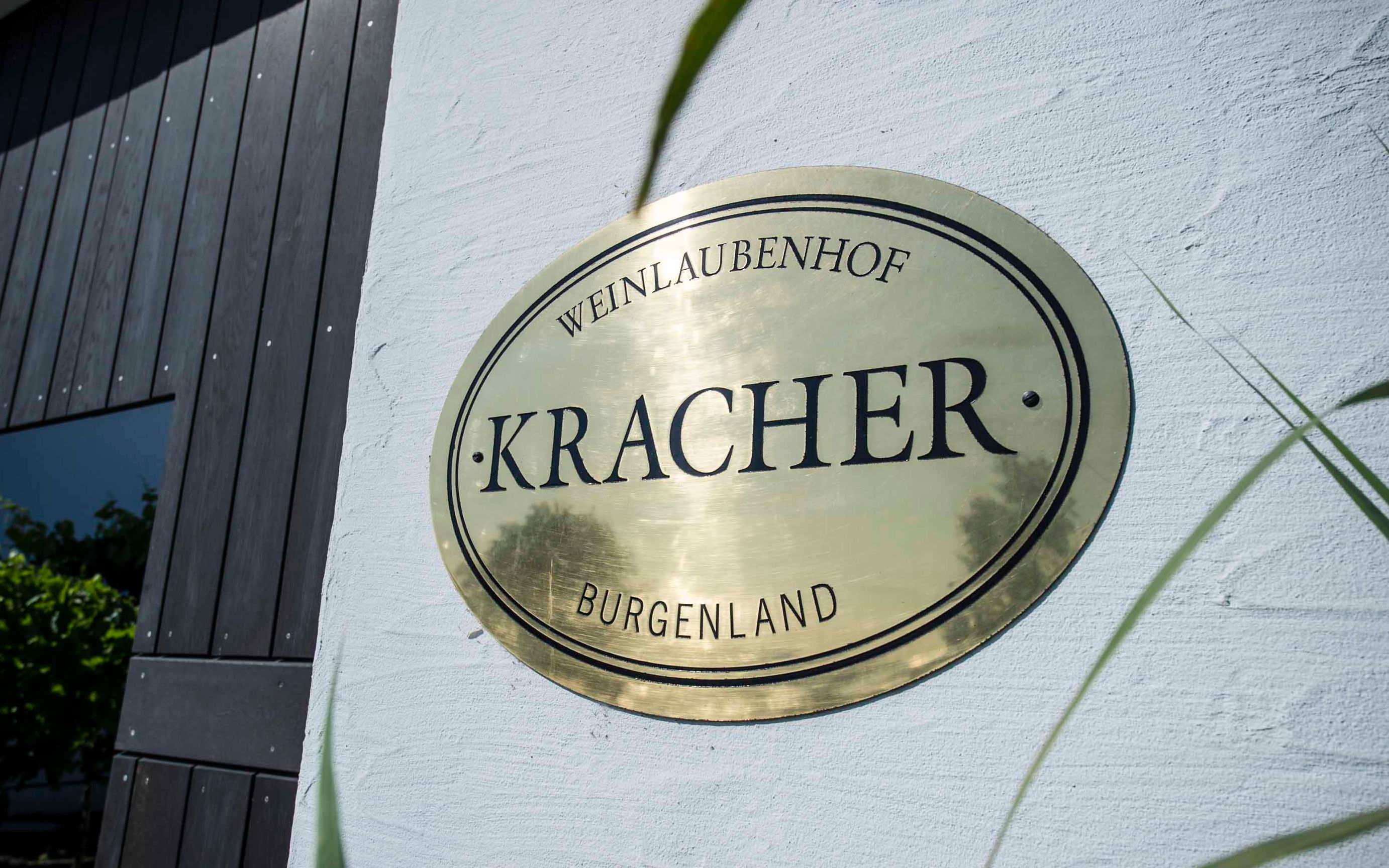 KR  Kracher winery image video 奥地利格莱士酒庄, 贵腐甜白葡萄酒哔哩哔哩bilibili