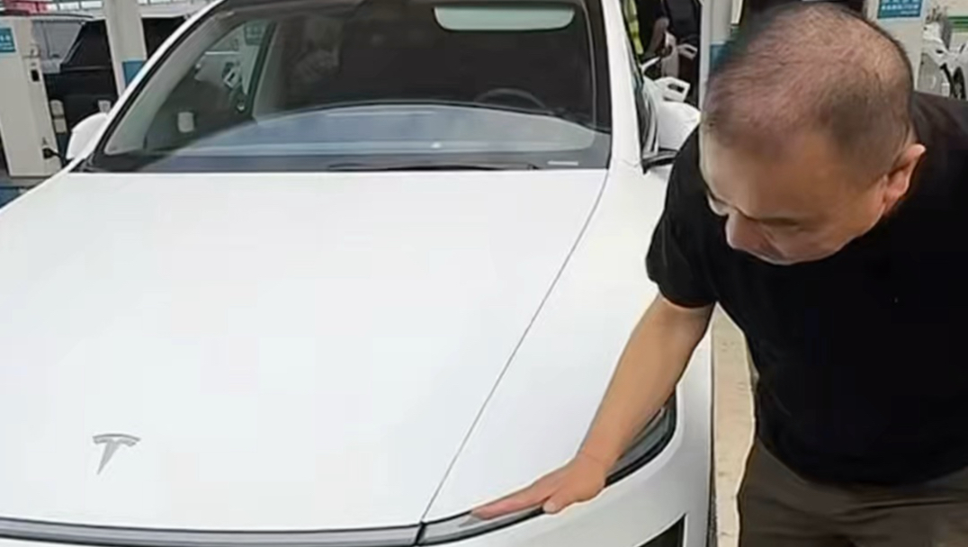 依旧特斯拉忠粉标准画像：国产都是山寨组装货，特斯拉才是正版