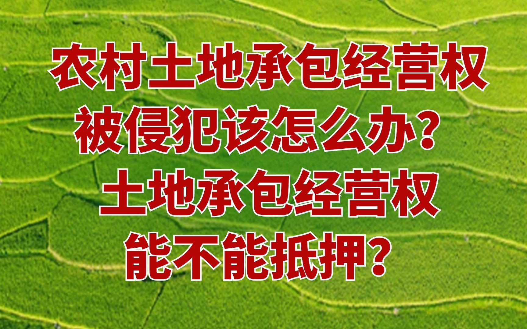 [图]农村土地承包经营权被侵犯该怎么办？土地承包经营权能不能抵押？