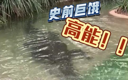 未满十八岁/禁止观看系列哔哩哔哩bilibili