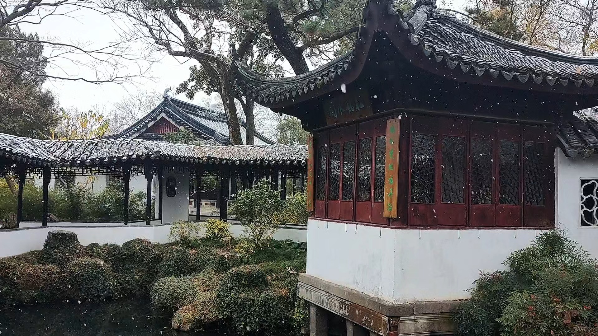 中式美学和雪景是绝配,去年12月18大雪中的拙政园宜两亭,当然要分享给你.去年12月18苏州就下雪了,今年苏州下雪是什么时候啊?哔哩哔哩bilibili