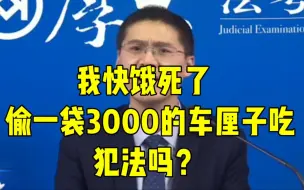 Download Video: 罗翔：我都快饿死了，偷袋3000的车厘子吃不过分吧